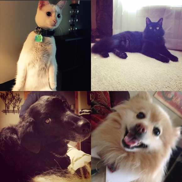 Meet your Posher, Kelli - Picture 2 of 8